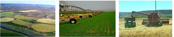 Irrigated Land,Sprinkler systems, Harvesters in the use
